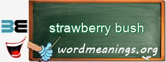 WordMeaning blackboard for strawberry bush